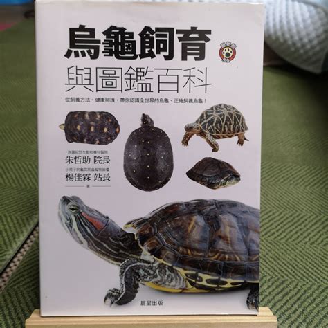 烏龜養法|烏龜飼育與圖鑑百科：從飼養方法、健康照護，帶你認。